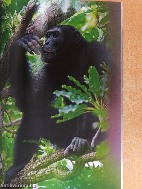 National Geographic Magyarország 2009. január-december