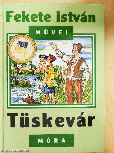 Tüskevár