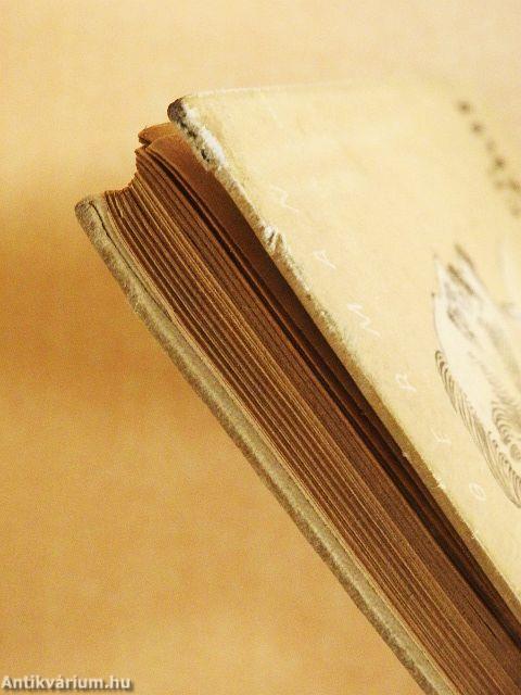 Történetek Dzerzsinszkij életéből