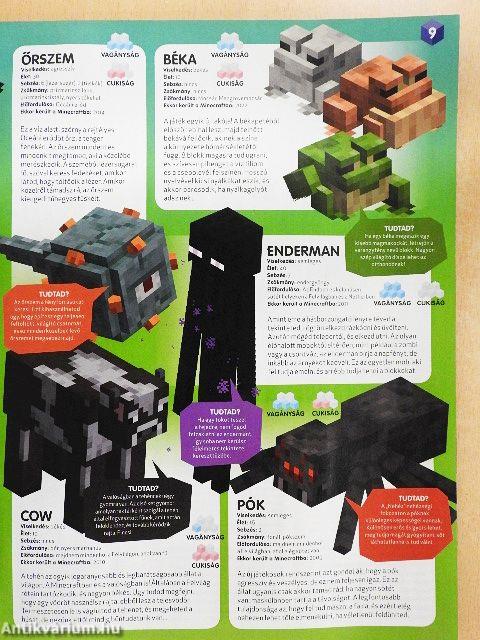 Robot Minecraft 2022/6