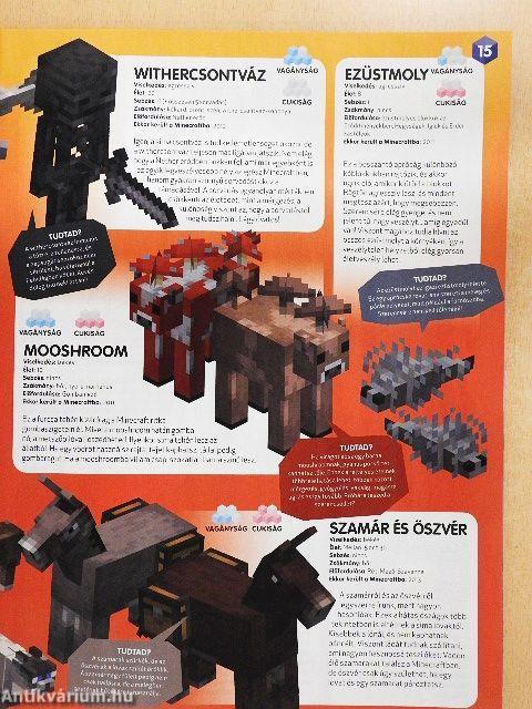 Robot Minecraft 2022/6