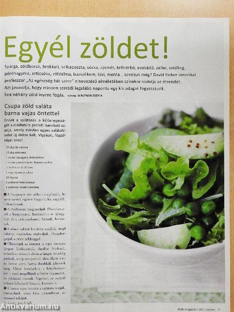 Stahl Magazin 2011. tavasz