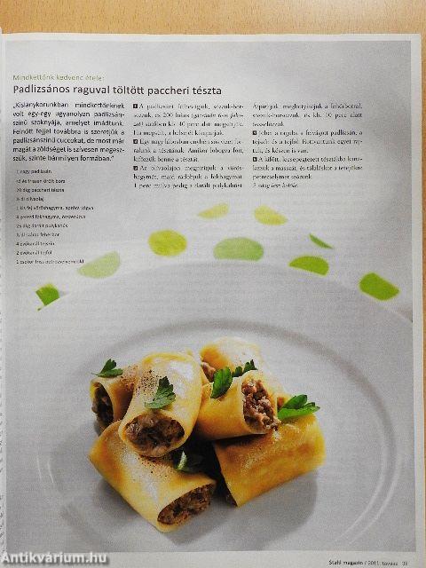 Stahl Magazin 2011. tavasz