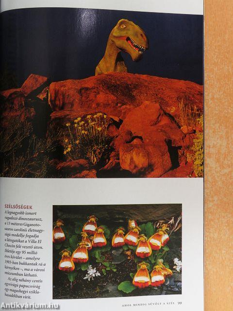 National Geographic Magyarország 2004. január-december