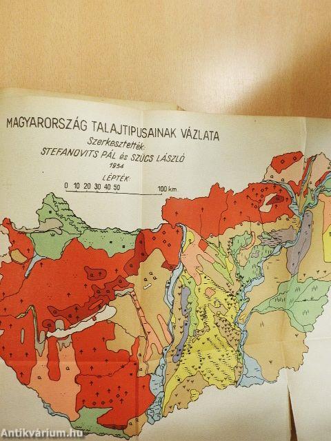 Szántóföldi növénytermesztés