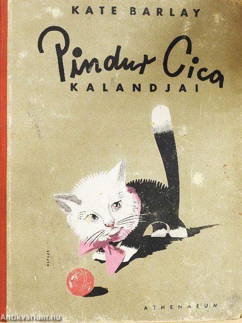 Pindur cica kalandjai