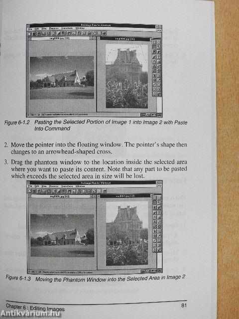 ProImage Plus for Windows