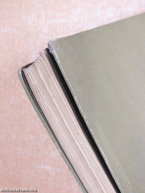 Taschenwörterbuch der Aussprache geographischer und historischer Namen (gótbetűs)