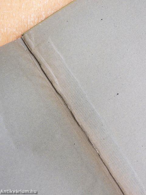 Taschenwörterbuch der Aussprache geographischer und historischer Namen (gótbetűs)