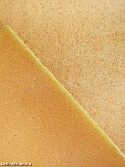 Magyar nyelv és kommunikáció - Feladatlap 13 éveseknek