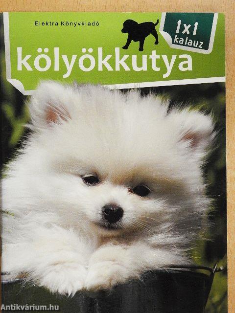 Kölyökkutya
