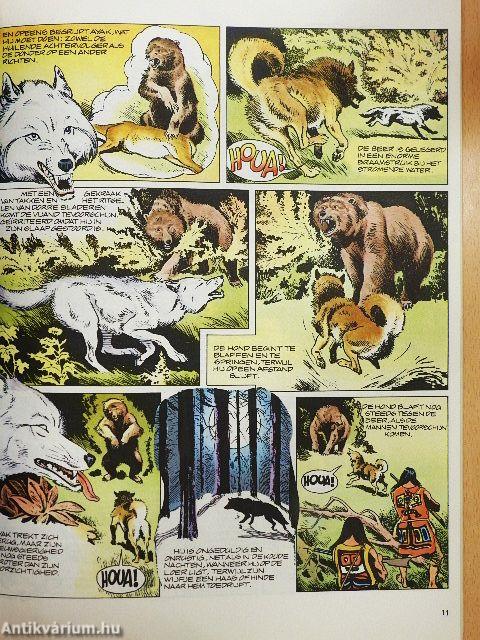 Ayak - de witte wolf