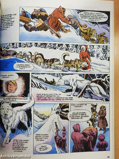 Ayak - de witte wolf