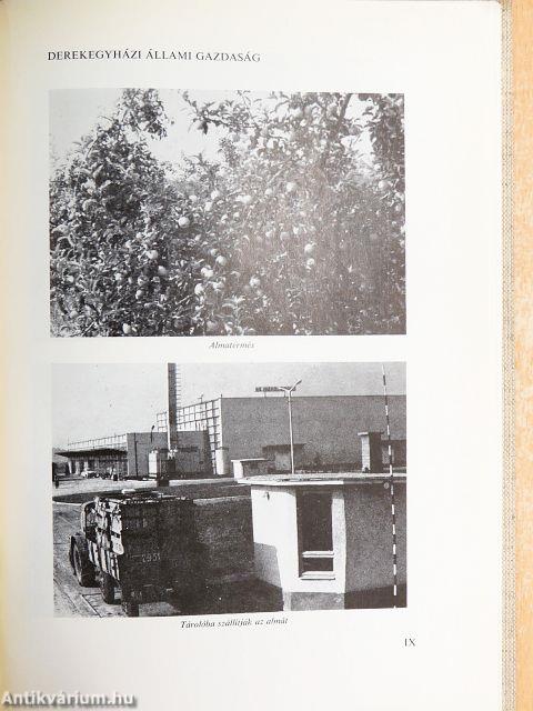 Viharsarki állami gazdaságok