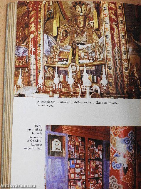 Négy hágó sziklavadonában