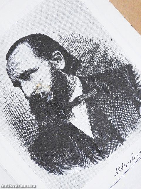 Brehm - Az állatok világa