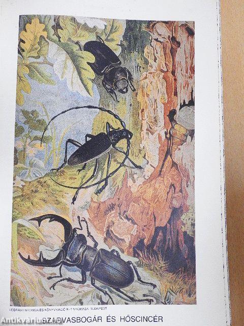 Brehm - Az állatok világa