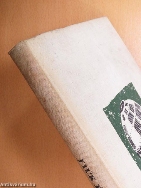 Fiúk Évkönyve 1965