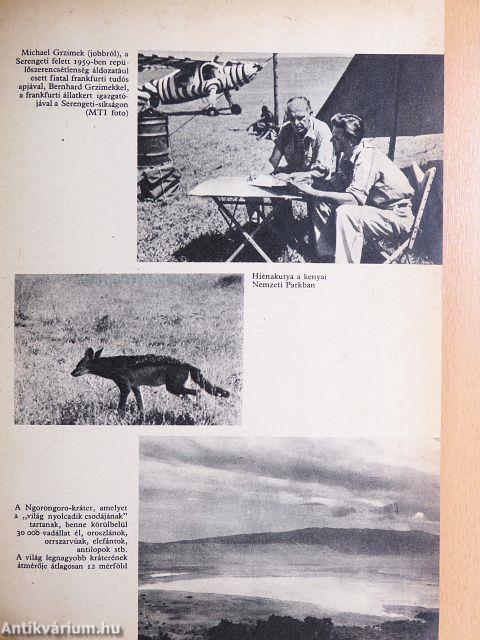 Fiúk Évkönyve 1965