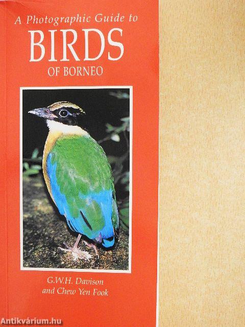 A Photographic Guide to Birds of Borneo