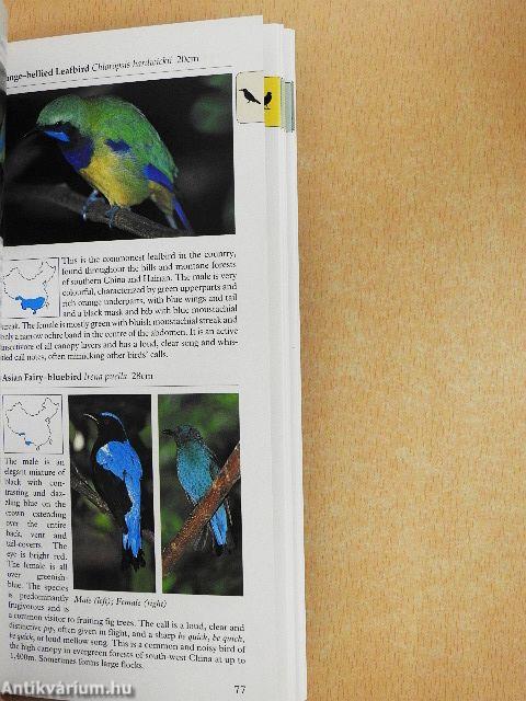A Photographic Guide to Birds of China and Hong Kong