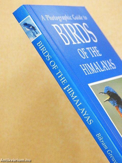 A Photographic Guide to Birds of the Himalayas