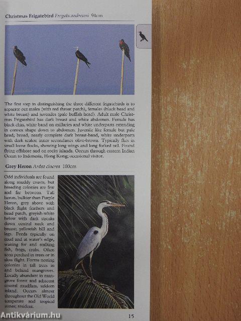 A Photographic Guide to Birds of Borneo