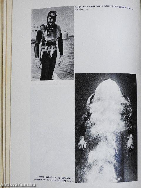 Hét tenger búvárkalandjai