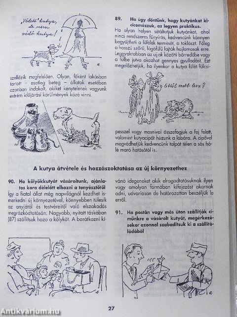 400 tanács kutyabarátoknak