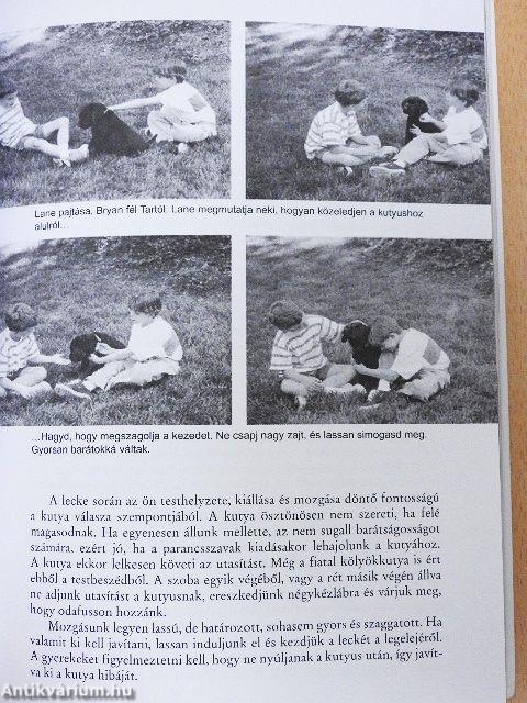 Kutya a családban