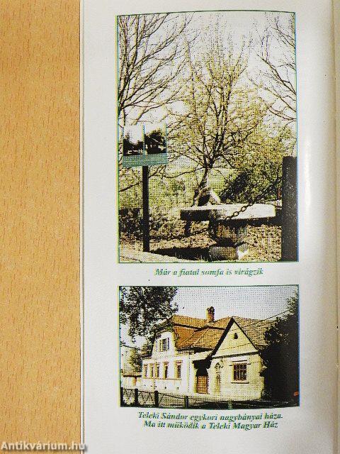 Koltó és kastélymúzeuma