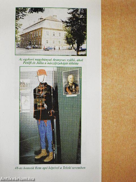 Koltó és kastélymúzeuma