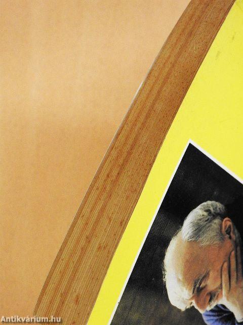 Élet egy eszme árnyékában