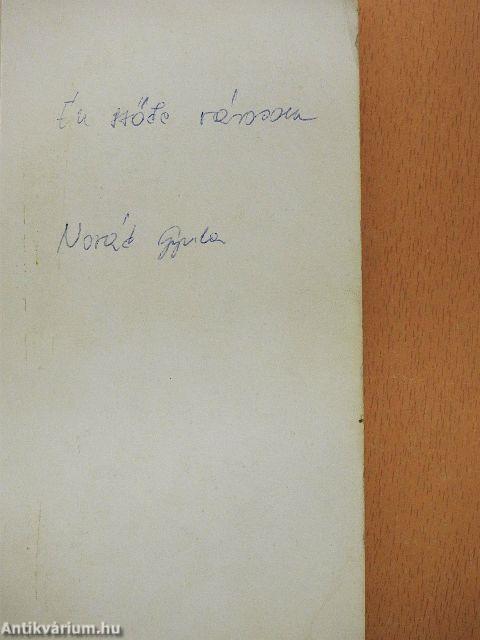 "Én szőke városom"