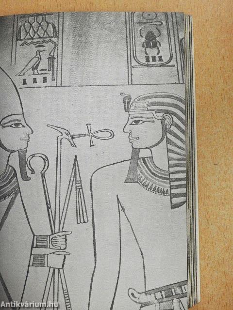 Nofretete, Echnaton und ihre Zeit