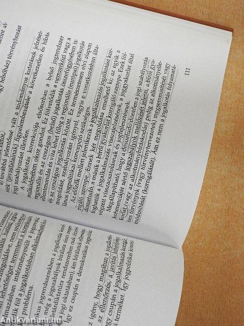 Általános jogpolitika