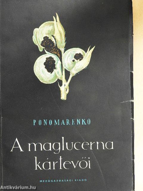 A maglucerna kártevői