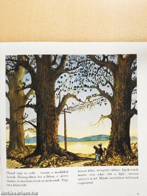 Ősszel szép az erdő