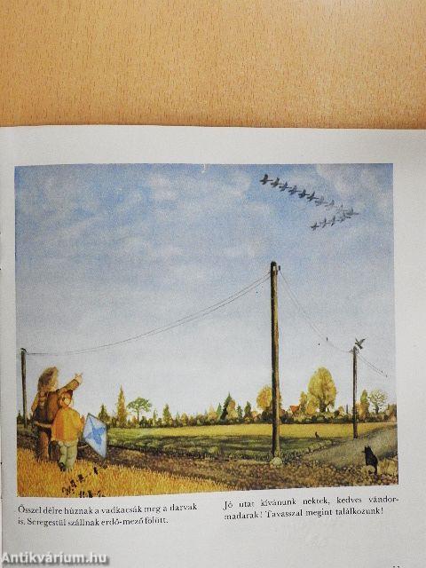 Ősszel szép az erdő