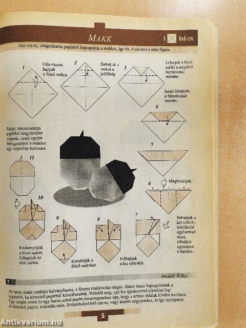 Papírősztől papírnyárig