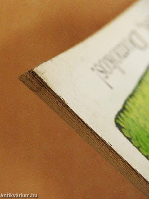 Most légy okos, Domokos!