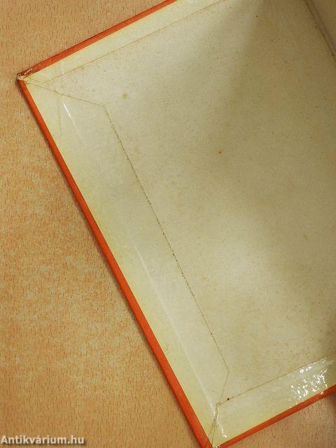 A modern háziasszony