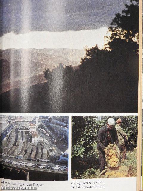 Unterwegs in Algerien