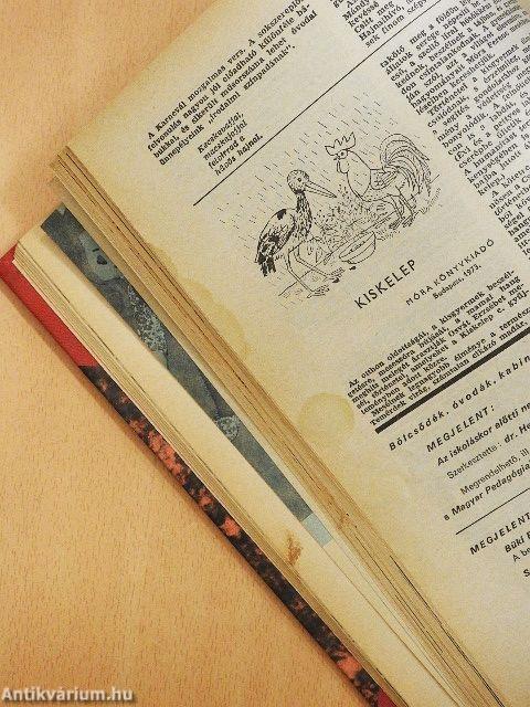 Óvodai nevelés 1974. január-december