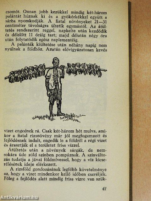 Kis séták a nagy természetben