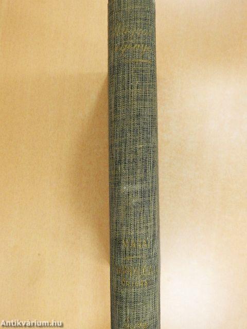 Napnyugati őrjárat