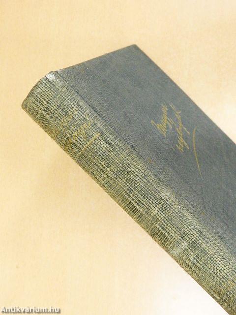 Napnyugati őrjárat