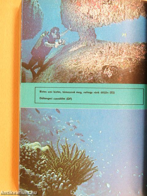 Ahol a cápa jár...