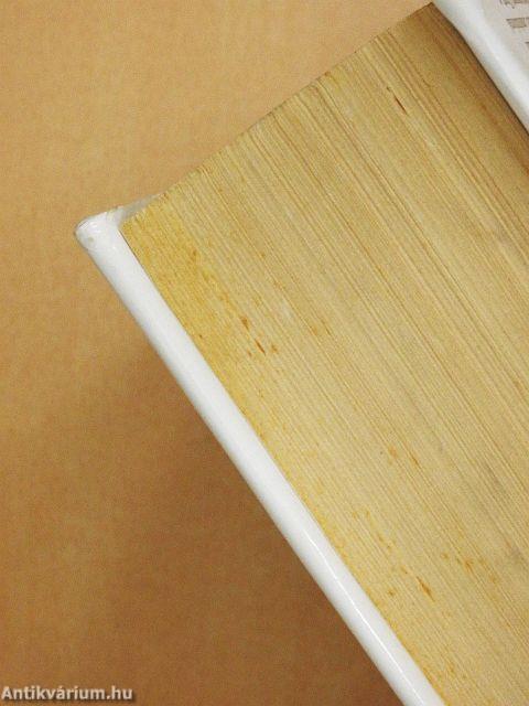 New Webster's Dictionary and Thesaurus & Medical Dictionary