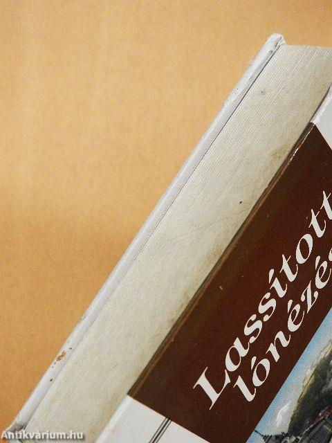 Lassított lónézés